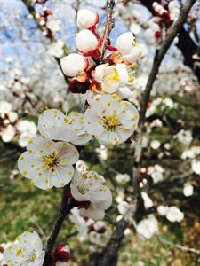 Photo 897227