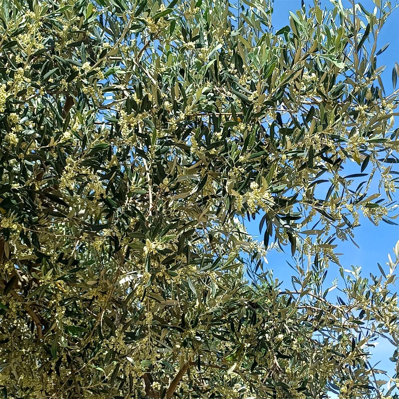 Photo 955328