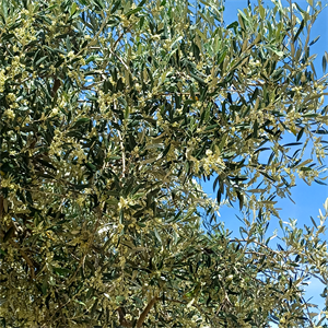 Photo 955328